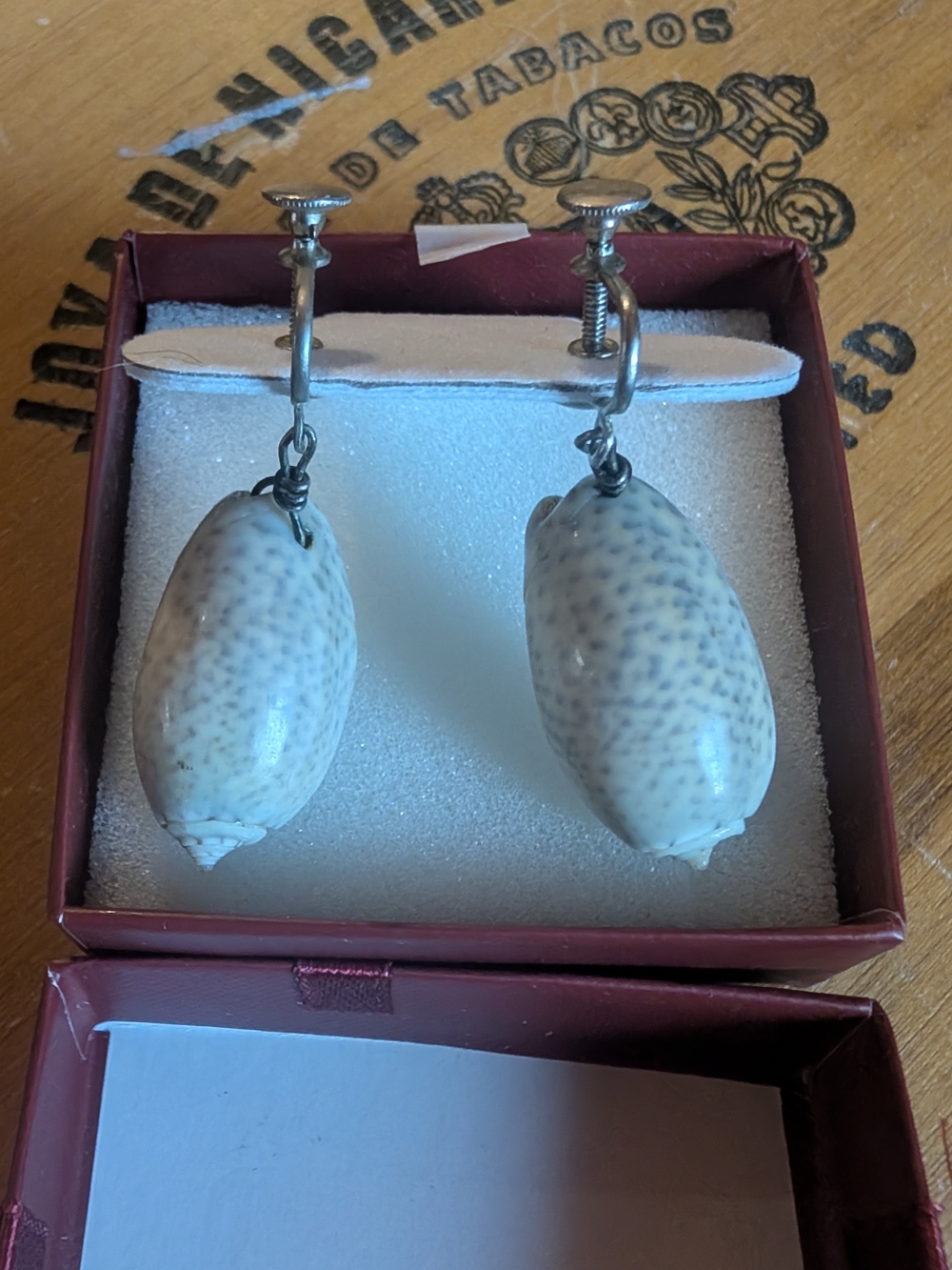 Natural Seashell Screw-back Earrings